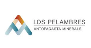 cliente-servicat-Pelambres