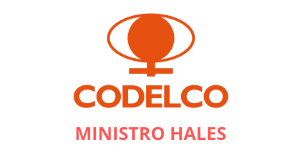 cliente-servicat-codelco-2